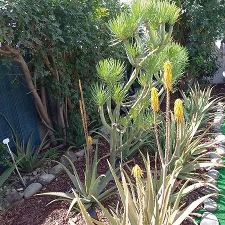 Tres Beau Bungalow,jardin Tropical, Renovation Ete 2020 * 플라야 델 잉글스