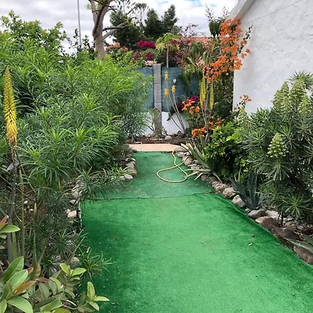 Tres Beau Bungalow,jardin Tropical, Renovation Ete 2020 펜션 *