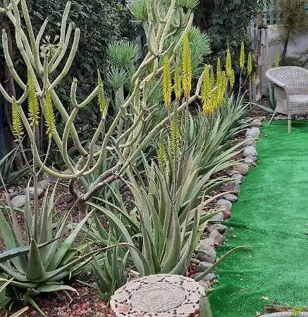 Tres Beau Bungalow,jardin Tropical, Renovation Ete 2020 펜션