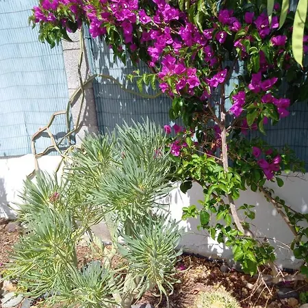 Tres Beau Bungalow,jardin Tropical, Renovation Ete 2020 펜션 *