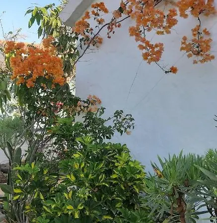 Ferienhaus Tres Beau Bungalow,jardin Tropical, Renovation Ete 2020 *